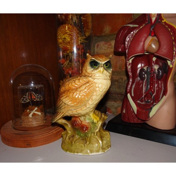 Vintage Ceramic Great Horned Owl Figurine 1960s collectible kitsch retro - Picture 6 of 12
